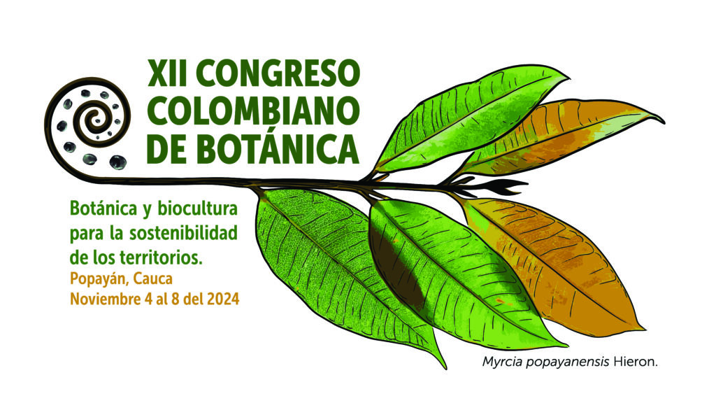 2024 logxiicongi mesa de trabajo 1 mesa de trabajo 1