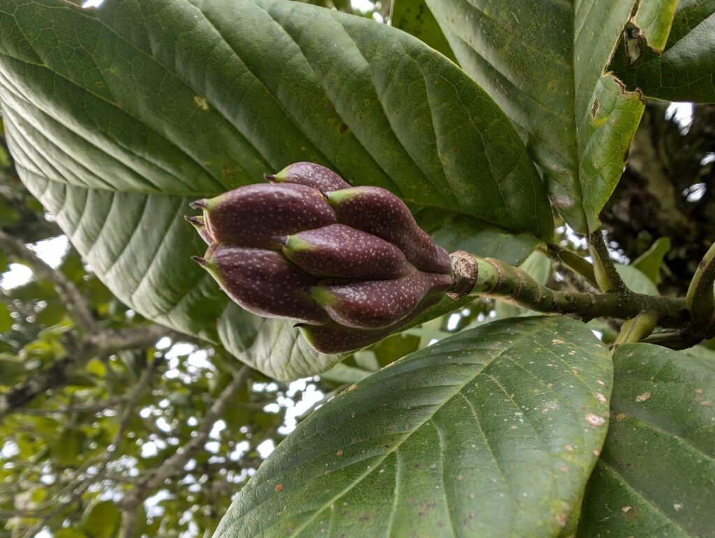 3542a3a0 ab8a 4603 9f1a e891f25414e2