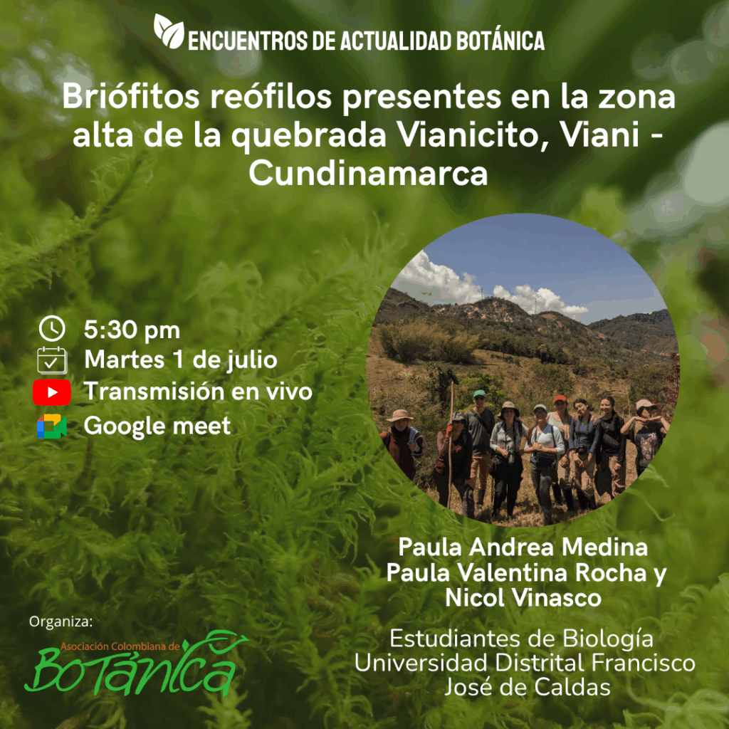 briófitos reofilos