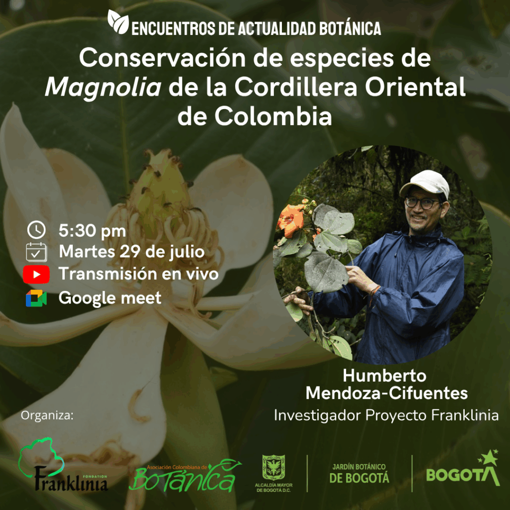 conservación de especies de magnolia