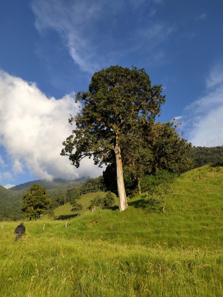 img 20241218 163517 (1)