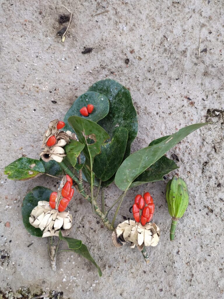 whatsapp image 2025 03 12 at 3.45.23 pm