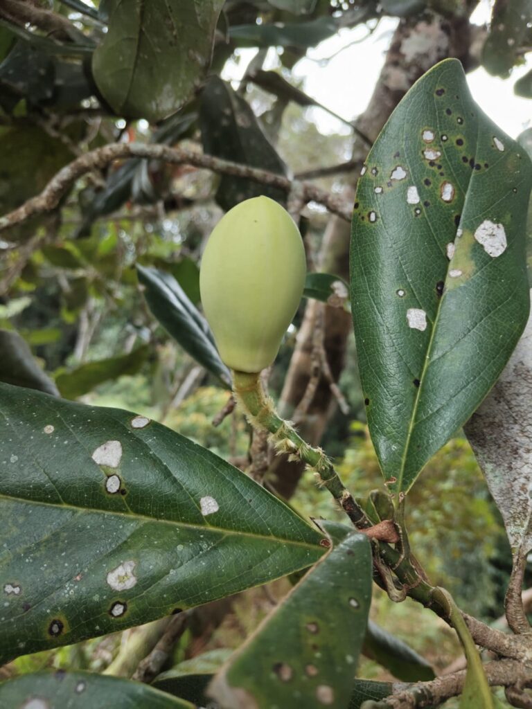 whatsapp image 2025 05 28 at 10.53.19 pm