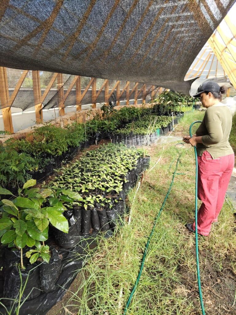 whatsapp image 2025 10 27 at 3.24.38 pm