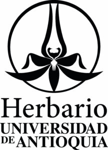 Logo Herbario Universidad de Antioquia