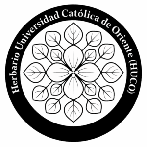 Logo del Herbario Universidad Católica de Oriente